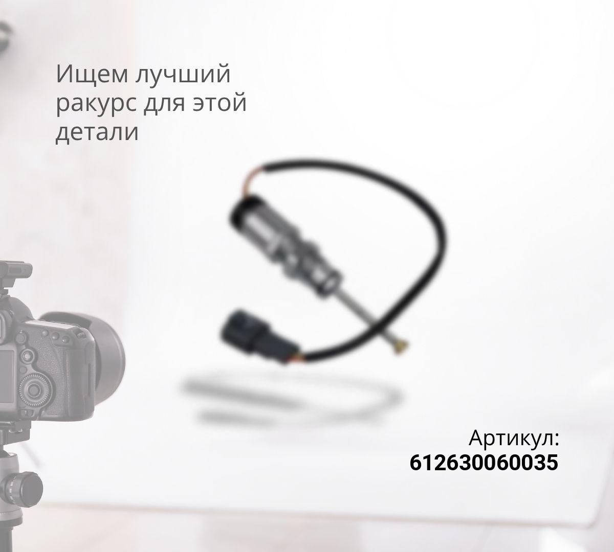 Датчик температуры WP12 LEO Trade